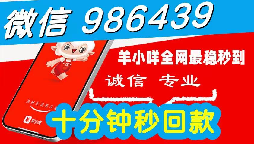 2026 羊小咩被限制的便荔卡包购物额度怎么提现出来秒到使用,简单三步秒到商家教您自己操作